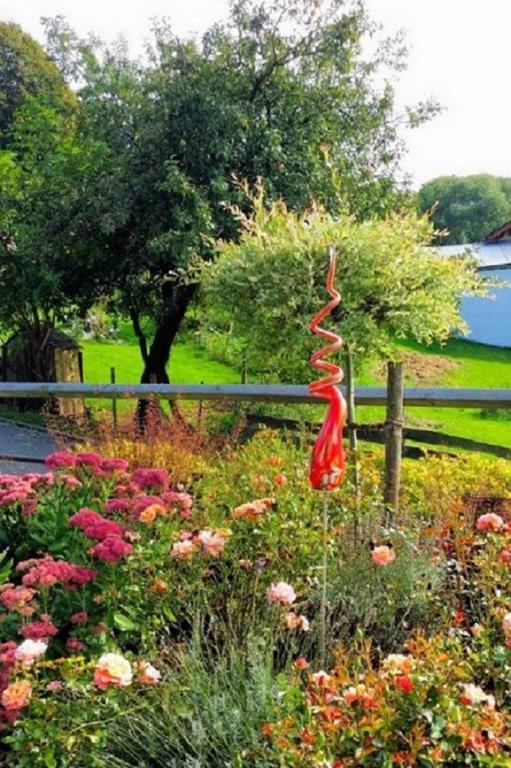 Wellness Ferienwohnungen Zellertalblick Drachselsried Dış mekan fotoğraf